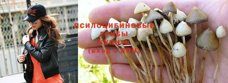 МЕГА сайт  Татарск  Галлюциногенные грибы Magic Shrooms 